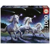 Image de -1000 UNICORNS, ANNE STOKES