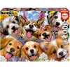 Image de 1000 Selfie De Perritos