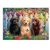 Image de Puzzle 100 pièces : Chiots
