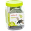 Image de Figurine Miniland Insect Animals (x12) Multicolore TU 8413082274801