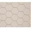 Image de Grillage métallique triple torsion "Galvanex 19" - 1 x 5 m/19 x 0,7 mm