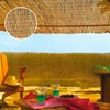 Image de Edm 75817 Canne De Bambou Naturelle 1.5x5 M One Size