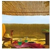 Image de INTERMAS - Brise vue en roseau 75% occultant 2 x 5 m REEDCANE