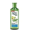 Image de Shampooing antipelliculaire