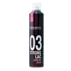 Image de Spray pour cheveux Strong Lac Salerm