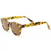Image de Ocean Sunglasses Lunettes De Soleil Hampton