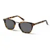 Image de Ocean Sunglasses Lunettes De Soleil Livorno