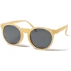 Image de Ocean Sunglasses Lunettes De Soleil Polarisées Lizard