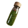 Image de Bouteille sensorielle - Cocinnelle