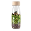 Image de spy bottle jungle - bouteille sensoreille