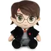 Image de Peluche Play by play Harry Potter - Magical Friends Harry Noir 25 cm PBP760025452