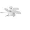 Image de Ventilateur de Plafond avec Lumière EDM Aral Blanc A 50 W