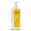 Image de Shampooing Cheveux Clearv Institute à la Camomille