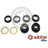 Image de Kit De Réparation, Maître-Cylindre De Frein Autofren D1095 Nissan;Peugeot