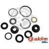 Image de Kit De Réparation, Maître-Cylindre De Frein Autofren D1697 Nissan;Opel;Renault