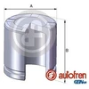 Image de Piston, Étrier De Frein Autofren D02550 Citroen;Fiat;Ford;Nissan;Opel;Peugeot;Renault