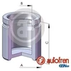 Image de Piston, Étrier De Frein Autofren D02570 Bmw;Land Rover;Volkswagen