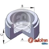 Image de Piston, Étrier De Frein Autofren D025106 Ford;Mg;Peugeot;Rover;Triumph