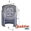 Image de Piston, Étrier De Frein Autofren D025251 Cadillac;Citroen;Ford;Isuzu;Mazda;Mercedes-Benz;Nissan;Opel;Renault;Saab;Vauxhall;Volvo