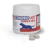 Image de Bioiberica Supplément Pour Chien Condrovet Force Ha 120 Unités One Size