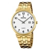 Image de Montre Homme F20513/1