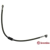 Image de Flexible De Frein Brembo T85112 Audi;Seat;Skoda;Volkswagen