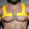 Image de Harnais Élastique AD FETISH Basic Jaune jaune XL/XXL
