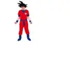 Image de Costume Guerrier Manga Sangoku Dragon Ball Z - L