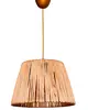 Image de Wellhome Suspension Luminaire Wh1153