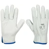 Image de Jbm Gants De Travail 12 Unités 10