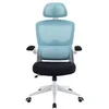 Image de Chaise de Bureau Ergonomique Woxter Ergo Bleue