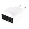 Image de Chargeur mural aatcat0038 appusbwall21w usb