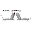 Image de Filtre À Particules, Système D'Échappement Fl5223q As As Fl5223q Bmw;