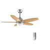 Image de Ventilateur de plafond avec Energysilence Aero 495. 55 W, diamètre 42 "avec 5 lames réversibles