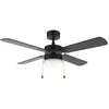 Image de Cecotec - Ventilateur de Plafond avec Lumière EnergySilence Aero 450 FullBlack - 50 W, Diamètre 106 cm, Lampe Intégrée, 3 Vitesses, 4 Pales Réversibles, Mode Été, Hiver en occasion ou reconditionné
