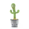 Image de Cactus dansant et parlant rechargeable avec musique et LED multicolore InnovaGoods Cacxi Vert TU V0103926