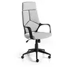 Image de Fauteuil de Bureau Ajustable Ogea 117-127cm Gris