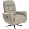 Image de Fauteuil pivotant en cuir gris