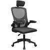 Image de Fauteuil ergonomique MGC-Ergo Plus (Noir)