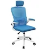 Image de Fauteuil ergonomique MGC-Ergo Plus (Bleu/Blanc)