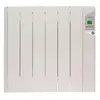 Image de Radiateur mural à fluide caloporteur 600w 0.636.267