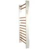Image de Olive Espalier Compact