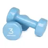 Image de Bodytone Haltère Recouvert De Pvc Dv3 3kg 2 Unités