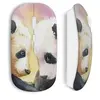 Image de Souris Sans Fil Cute pandas painted ()
