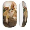 Image de Souris Sans Fil Chat minion ()