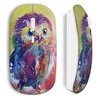 Image de Souris sans Fil Hiboux art painted ()