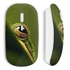 Image de Souris sans fil Grenouille oil ()