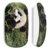 Image de Souris sans fil Panda Cute ()