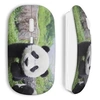 Image de Souris sans fil Panda ()