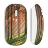 Image de Souris Sans Fil Foret rouge ()